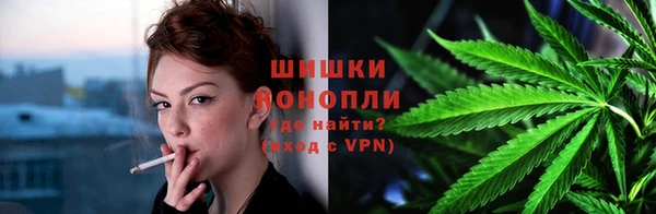 гидра Алексеевка