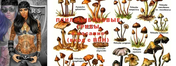 дурь Михайлов